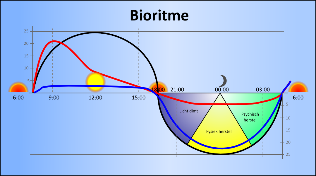 Diagram van bioritme toont fysieke en psychische herstelperiodes gedurende de dag, met markeringen voor zonsopgang, middag, zonsondergang en middernacht.