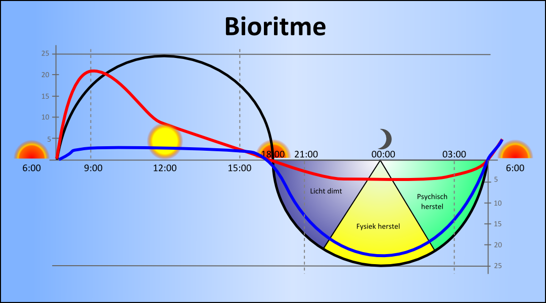 Bioritme voor balans en energie