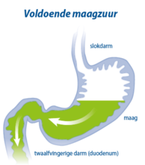 Maagzuur tekort vaak oorzaak brandend maagzuur