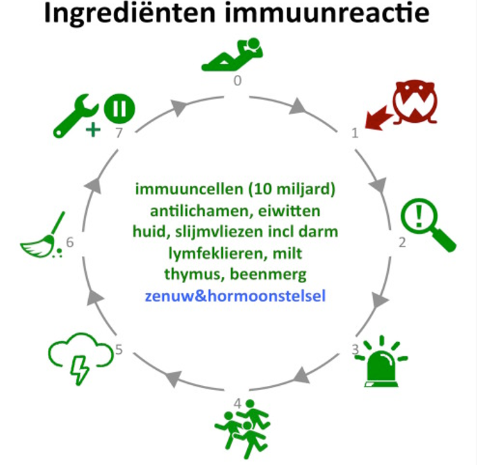 Wees lief voor je immuunsysteem!