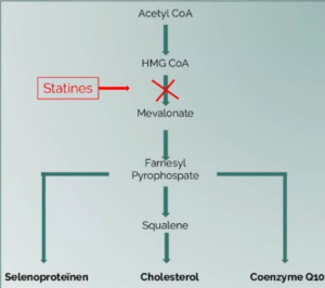cholesterol